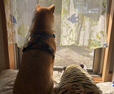 何気ない日々のお話お聞きします イメージ1