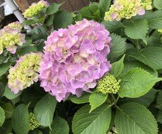 お悩み、相談受け付けます イメージ1