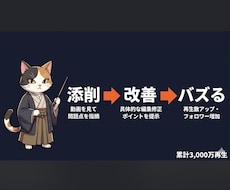 ショート動画をバズる動画に変える編集コンサルします イメージ1