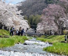 写真撮影します イメージ1