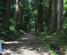 ３日間なんでもお聞きしたい。あなたの心を癒します イメージ1