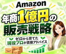 年商1億セラーの私がAmazonでの売り方教えます 現役セラーが実際にやってる売上改善についてコンサルティング