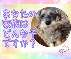あなたの愛するペットYou Tubeで紹介します イメージ1