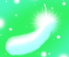 天使のメッセージを伝えます 今あるお悩みに天使のアドバイスを届けます