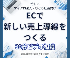 小規模法人向けEC販売チャネル導入を相談できます 在庫リスクを抑えたECの始め方を整理します