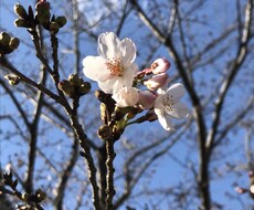 お悩み、愚痴、色々聞きます イメージ1