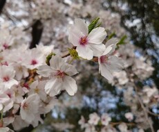 モヤモヤ解消♪お話しお聞ききします イメージ1