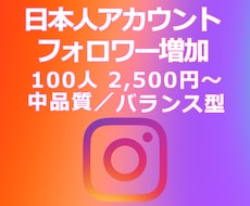 IG:日本人フォロワー獲得を支援します イメージ1