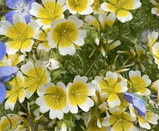 家庭菜園の野菜の悩み、なんでも解決します イメージ1