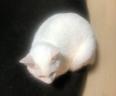 人生についていっしょに考えます 生きる意味ってなんだろうって考えたりしませんか？
