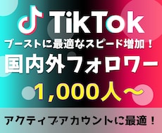 TikTokフォロワー 1,000人～増加させます 10代～30代向けSNSの決定版！アクティブアカウント向け！