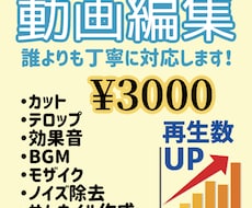 YouTube投稿用の動画を丁寧に編集します イメージ1