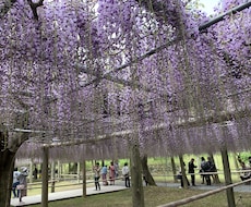 あなたに最適の旅行のプランを一緒に考えます イメージ1