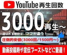 YouTube再生回数3,000回以上増加させます イメージ1