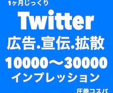 Twitter拡散じっくり1か月保証300RTます 最低保証300RT.1か月ゆっくり宣伝集客致します。