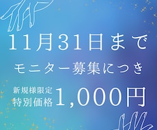 モニター特別価格！：手相で仕事の悩み占います モニター様のための特別価格です