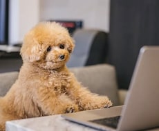 建設キャリアアップシステム登録します イメージ1