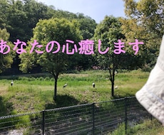 愚痴、悩み何でも聞きます イメージ1
