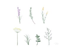ふんわり繊細な花のイラスト描きます、添えます 商用利用可◎挿絵・アイコンなどに