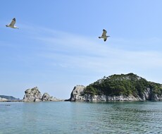 独特な景観を形成する浄土ヶ浜の写真を提供します イメージ1