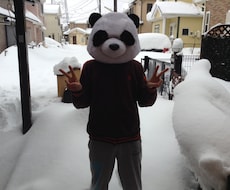 パンダが占いとか全くできないけど前世教えますパンダ イメージ1