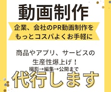 商品、アプリのPR動画を作成・SNS投稿代行します イメージ1