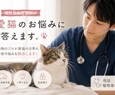 現役動物看護師が愛猫のお悩みに答えます 動物のプロが愛猫の日常の不安や悩みを解決します！