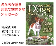 マジカルドッグスタロットで占います イメージ1