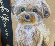 ペットのイラストをクレヨンで描きます イメージ1