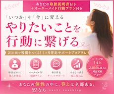 自分トリセツ付：21日間の習慣化伴走サポートします 意志が弱いんじゃない。個性に合う動かし方を知るだけで変わる。