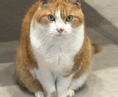 大学1年生がみなさんの悩みをたっぷり聞きます イメージ1
