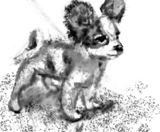 墨で描いたようなイラストを描きます 白黒の墨で描いたようなイラストがほしい方へ