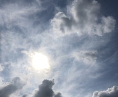 あなたのお悩み聞かせていただきます 占い師がペットロス、人間関係などお話してスッキリして下さい。
