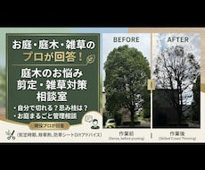 庭木・雑草の悩み解決！写真から切る枝教えます イメージ1