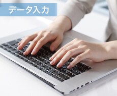 データ入力作業代行いたします イメージ1