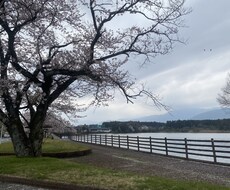 お試しで鑑定ます イメージ1