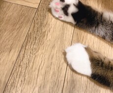 疲れた心、癒します イメージ1