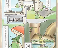 アニメ好き歓迎・日本語メール文通＆文章添削します イメージ1