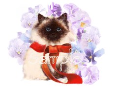 あなたのかわいいペットを素敵なイラストにします イメージ1