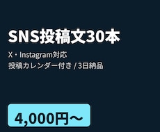 X・Instagram投稿文30本を作成します イメージ1