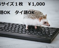 英文も可能　入力業務をお手伝いします イメージ1