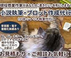現役商業作家があなたの「物語」を形にします イメージ1