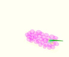 優しすぎて疲れた方へ｜自分を守る自分軸を伝えます イメージ1
