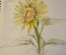 簡単な水彩イラストを描きます イメージ1