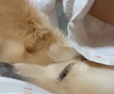 タロットで占いをします 相手の気持ち、未来占います 彼の本音、彼との未来が気になるあなたへ