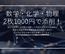 記述問題の添削などを行います イメージ1