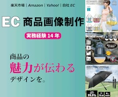 魅力が伝わるEC商品画像を制作します イメージ1