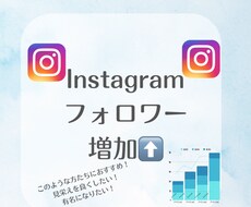 Instagramフォロワー1000人～増やします イメージ1