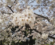 お悩み伺います イメージ1