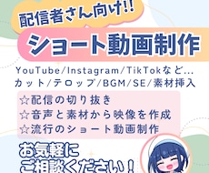 配信者・VTuber向け｜ショート動画を制作します イメージ1